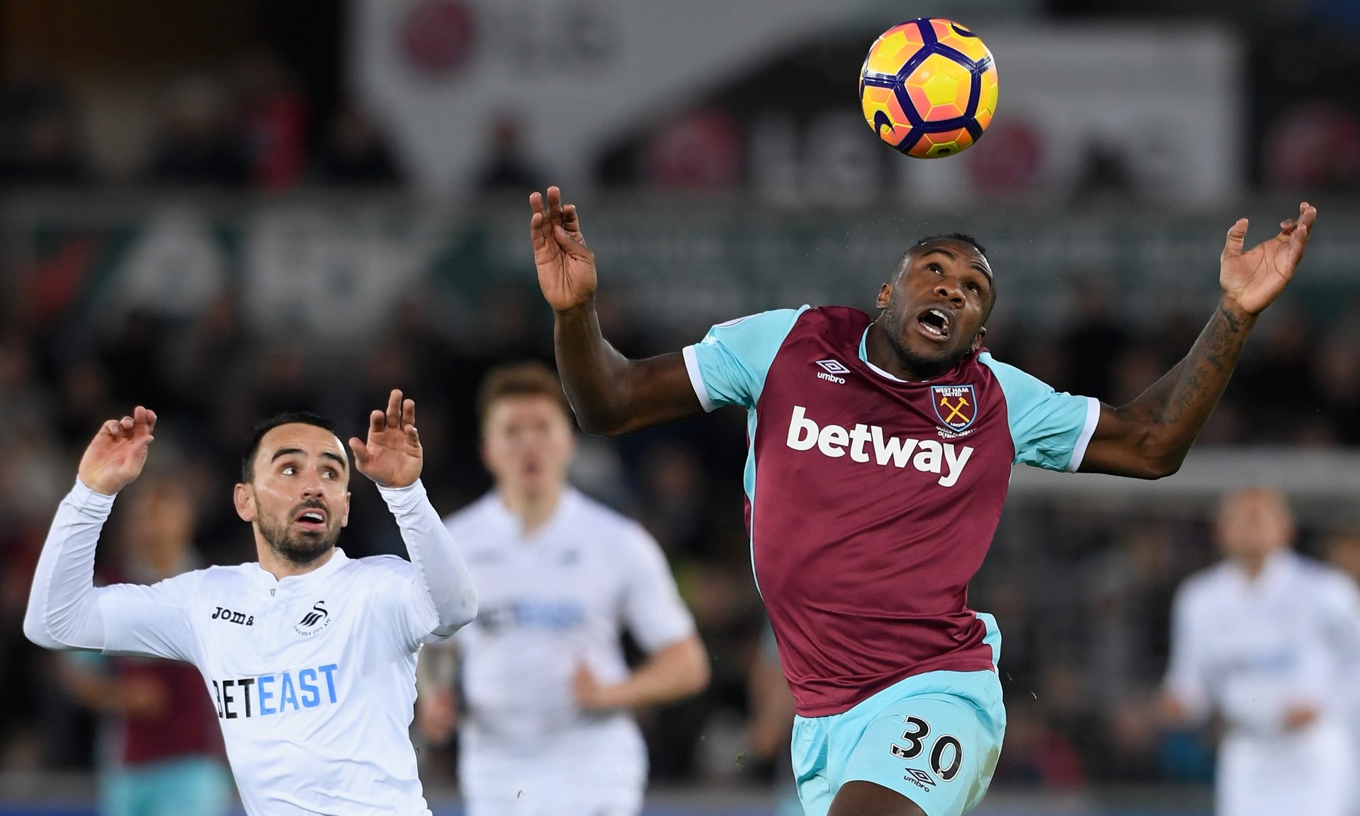 注的重要因 注的重要因